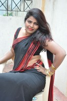 Sitara Saree Photos